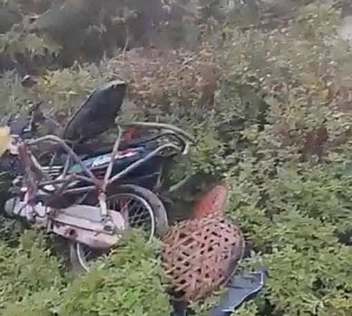 Tai nạn tàu hỏa thương tâm tại Nghệ An , người phụ nữ đi chợ tử vong - Ảnh 1.