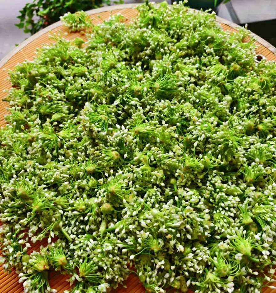 Mùa Thu, Đừng Quên Thưởng Thức “Món Rau Tươi Ngon Của Tháng Tám”: Giá Rẻ Lại Bổ Gan, Kháng Khuẩn Và Dưỡng Nhan- Ảnh 2. Mùa Thu, Đừng Quên Thưởng Thức “Món Rau Tươi Ngon Của Tháng Tám”: Giá Rẻ Lại Bổ Gan, Kháng Khuẩn Và Dưỡng Nhan- Ảnh 2.