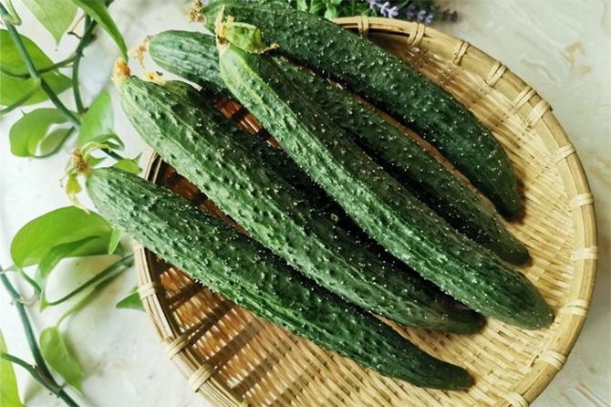 Dưa Chuột Bị Đắng Nên Ăn Hay Bỏ? 1 Untitled 1 16273292 1755229553519 17552295537371810711218
