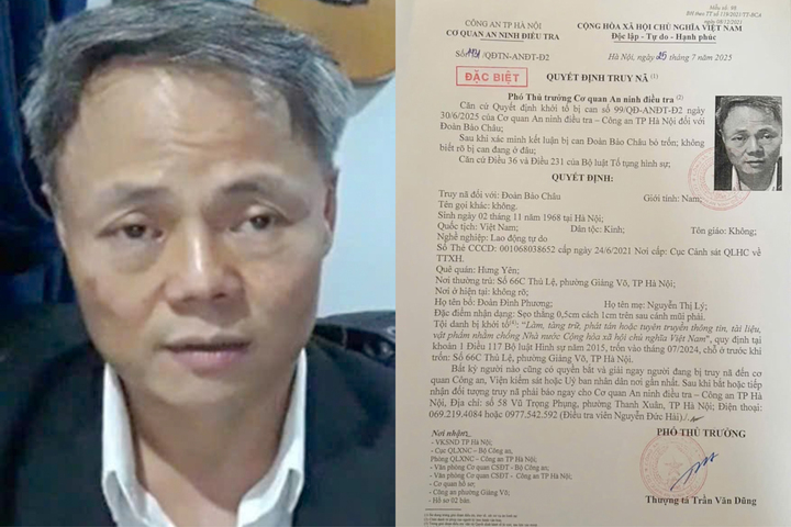 Đoàn Bảo Châu bị truy nã tội danh gì và thông tin cần biết - Ảnh 1.