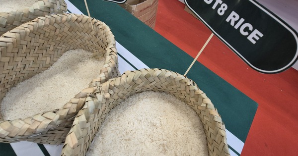 Sau lùm xùm heo bệnh, đại gia Thái Lan C.P. vẫn tăng trưởng doanh thu bán thực phẩm, kiếm tổng cộng 43.000 tỷ ở Việt Nam nửa đầu năm 2025 - Ảnh 1.