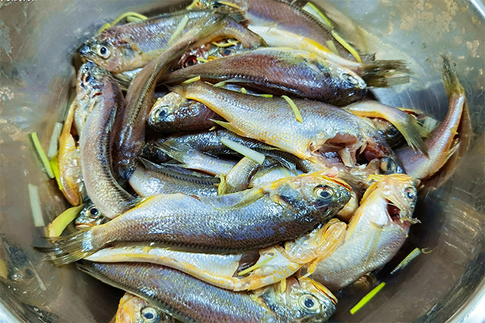 Lý Do Cá Rán Ở Nhà Hàng Luôn Giòn Tan, Thêm Thứ Này Cá Để Lâu Không Ỉu - Ảnh 1. Lý Do Cá Rán Ở Nhà Hàng Luôn Giòn Tan, Thêm Thứ Này Cá Để Lâu Không Ỉu - Ảnh 1.
