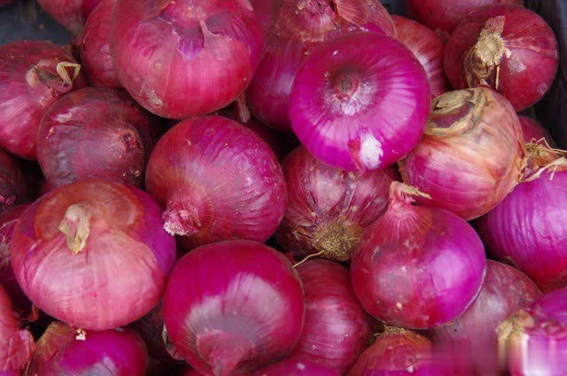 7 loại rau &ldquo;kh&oacute; bị s&acirc;u bệnh&rdquo;, cực dễ trồng dễ chăm, ai sợ thuốc trừ s&acirc;u th&igrave; c&oacute; thể tự trồng tại nh&agrave;- Ảnh 4.