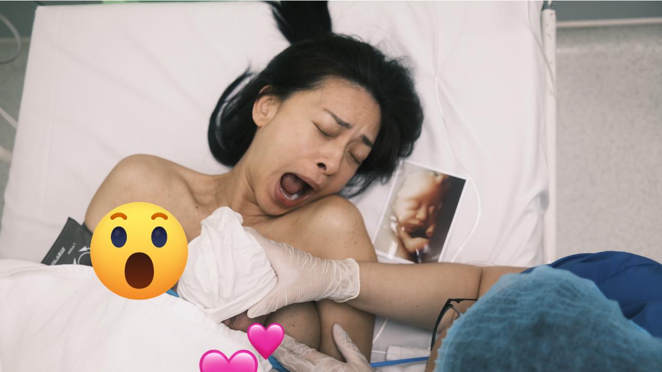 - Ảnh 1. - Ảnh 1.