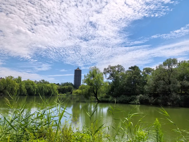 Hộp quà tân sinh viên của 1 trường top đầu rò rỉ trên MXH, người thường xem xong chỉ biết khóc: Cái giá của tri thức!- Ảnh 2.