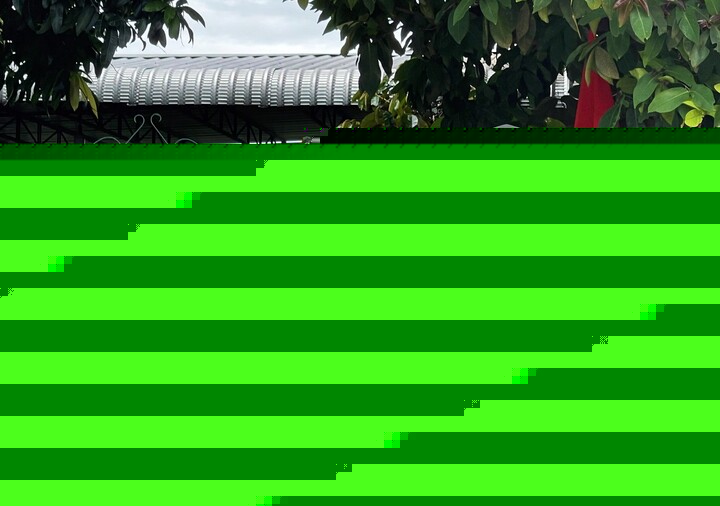 Cháy nhà ở khánh hòa khiến một phụ nữ tử vong , điều tra nguyên nhân vụ việc - Ảnh 1. Cháy nhà ở khánh hòa khiến một phụ nữ tử vong , điều tra nguyên nhân vụ việc - Ảnh 1.