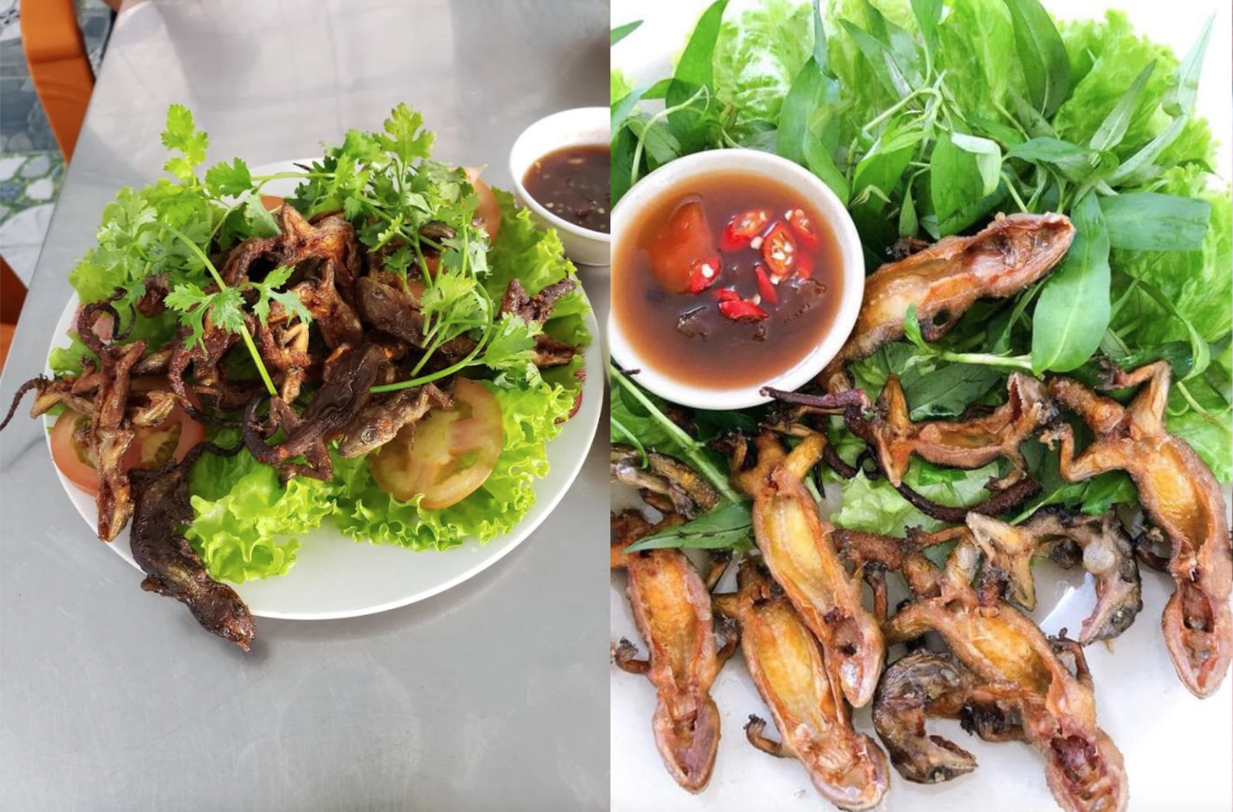 Thằn lằn núi Bà Đen: Đặc sản hiếm có khiến thực khách nhớ mãi - Ảnh 3.