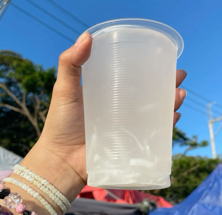 - Ảnh 2. - Ảnh 2.