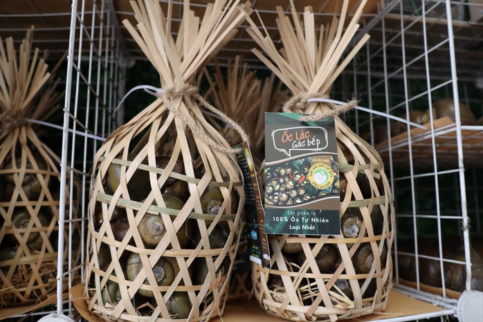 Đặc sản ốc gác bếp ở Cần Thơ: Hành trình thành công của mẹ bỉm sữa Đặng Thế Quỳnh Anh - Ảnh 6.