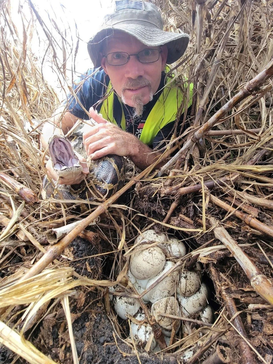 Nữ thợ săn cao 1,5 m lập kỷ lục bắt 60 con trăn trong 10 ngày - Ảnh 3.