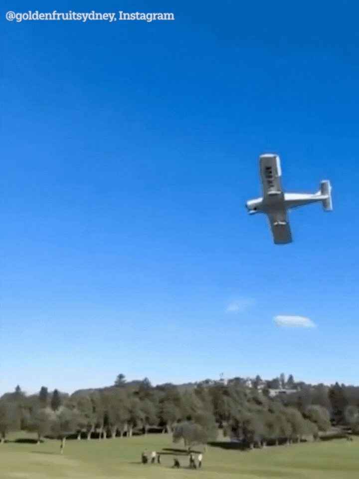 Khoảnh khắc máy bay rơi xuống sân golf gây hoảng loạn  - Ảnh 1.