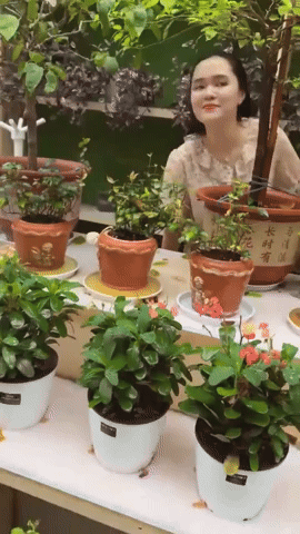 Vợ Duy Mạnh khoe nhan sắc xinh đẹp, ra dáng tiểu thư Hà thành, đã không còn bị chê mặc xấu!- Ảnh 3. Vợ Duy Mạnh khoe nhan sắc xinh đẹp, ra dáng tiểu thư Hà thành, đã không còn bị chê mặc xấu!- Ảnh 3.