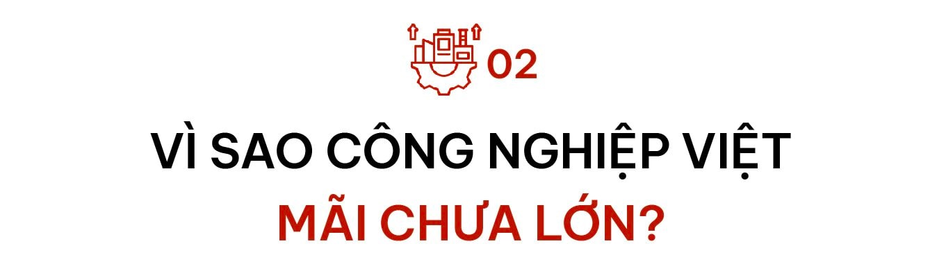  - Ảnh 8.