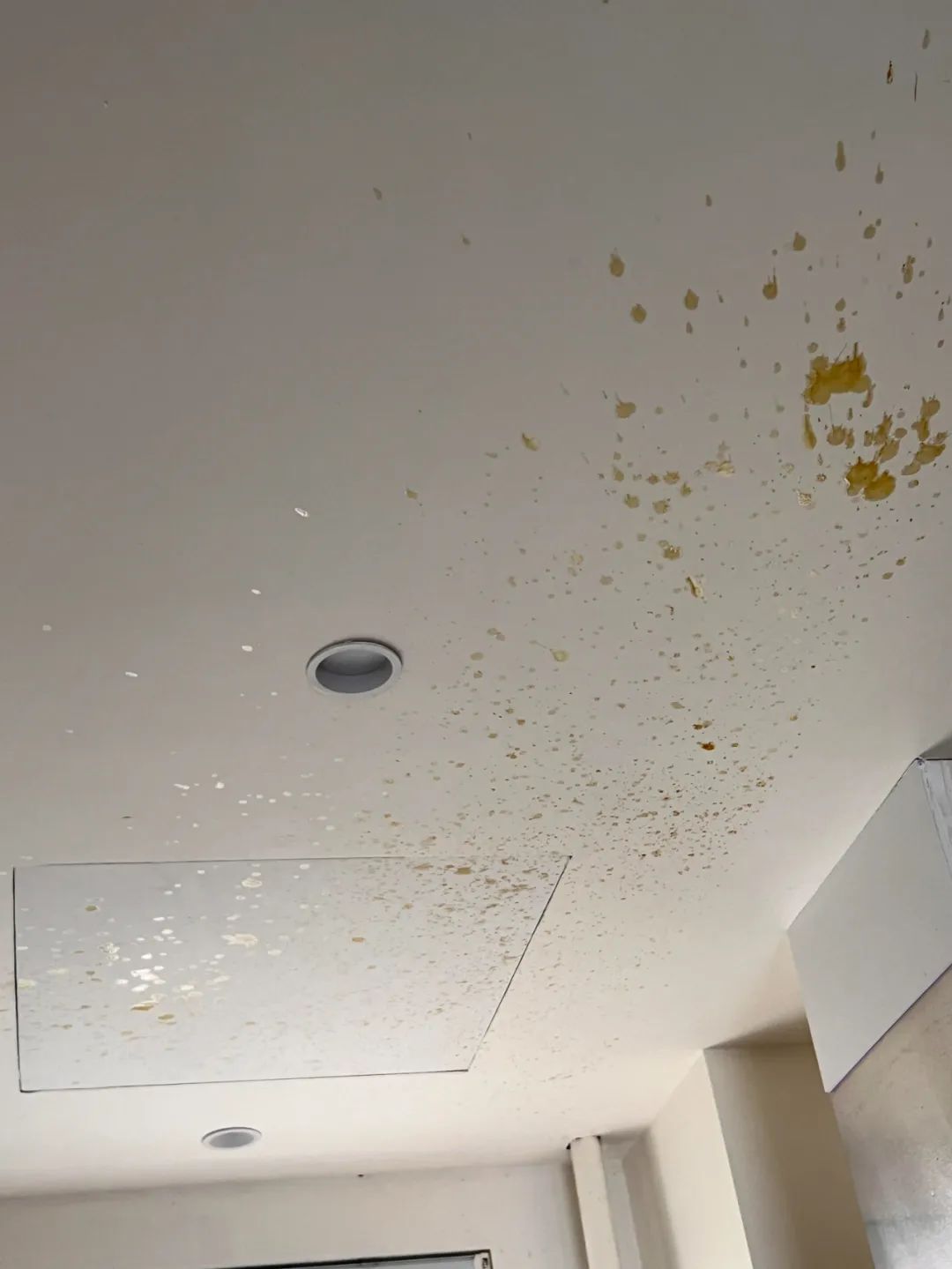 9 thiết kế bếp cần bị cạch mặt vì "hành hạ" người dùng - Ảnh 5. 9 thiết kế bếp cần bị cạch mặt vì "hành hạ" người dùng - Ảnh 5.