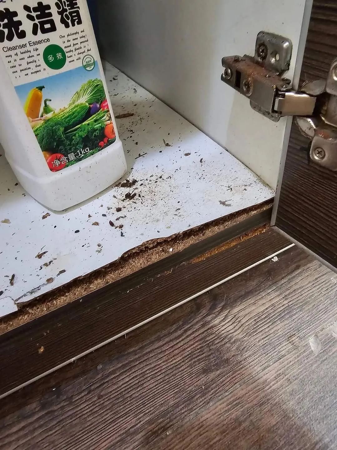 9 thiết kế bếp cần bị cạch mặt vì "hành hạ" người dùng - Ảnh 6. 9 thiết kế bếp cần bị cạch mặt vì "hành hạ" người dùng - Ảnh 6.