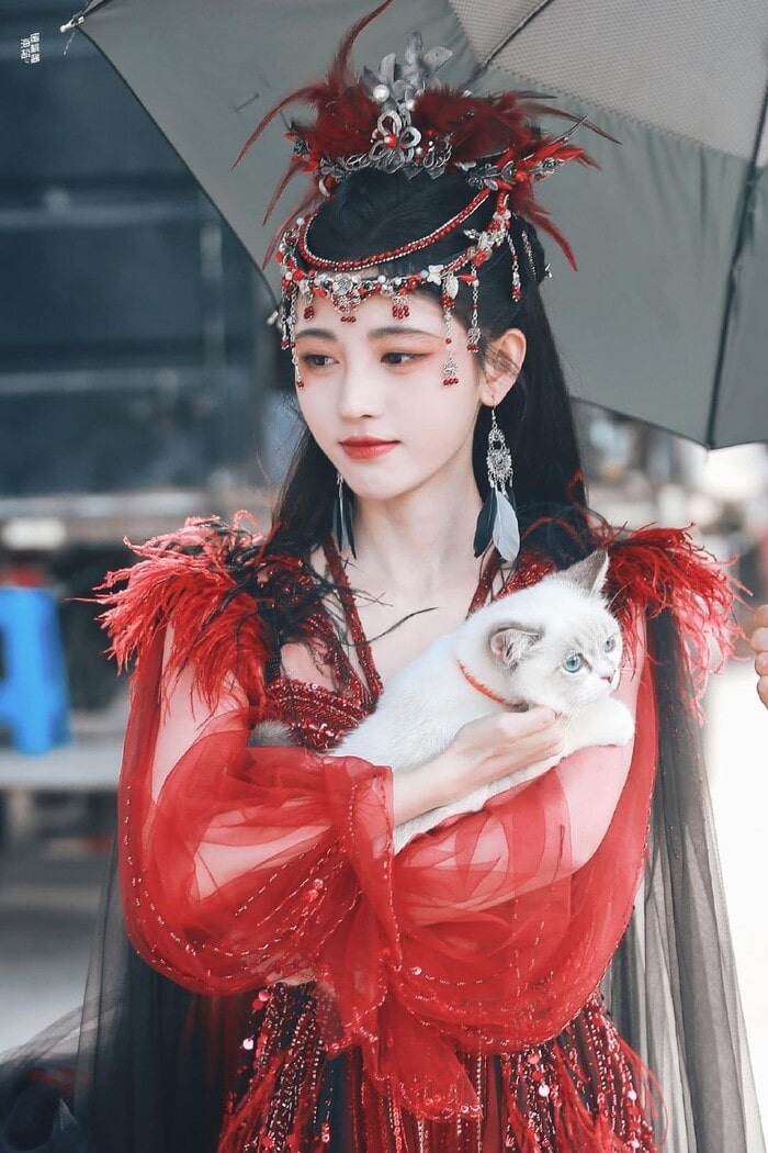 - Ảnh 16. - Ảnh 16.