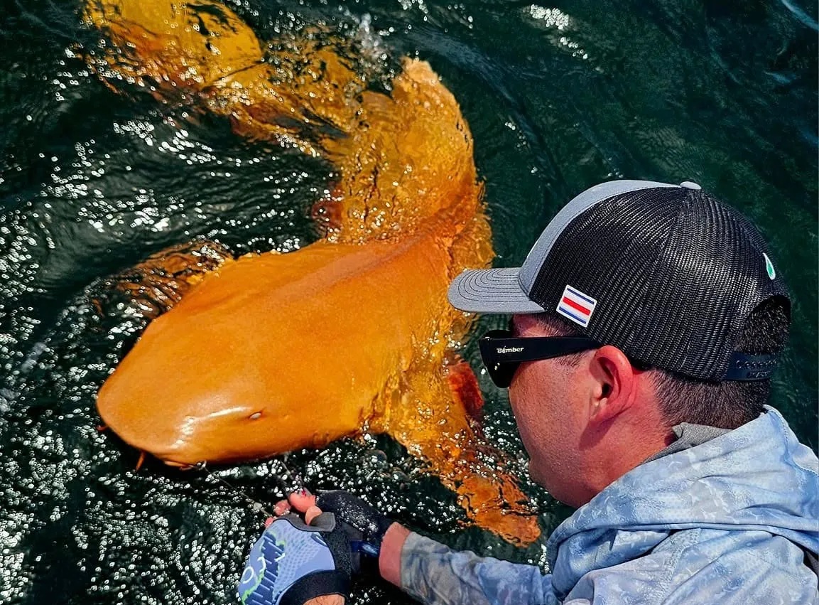 Ngư d&acirc;n lần đầu c&acirc;u được c&aacute; mập m&agrave;u cam kỳ lạ với đ&ocirc;i mắt trắng ma qu&aacute;i - Ảnh 3.