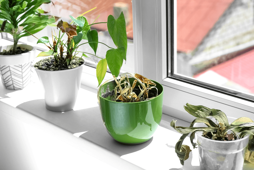 Ông bà dặn kỹ: Tháng 7 cô hồn "họa vô đơn chí", nhà nào có 7 món này thì VỨT ngay kẻo gặp xui - Ảnh 3.