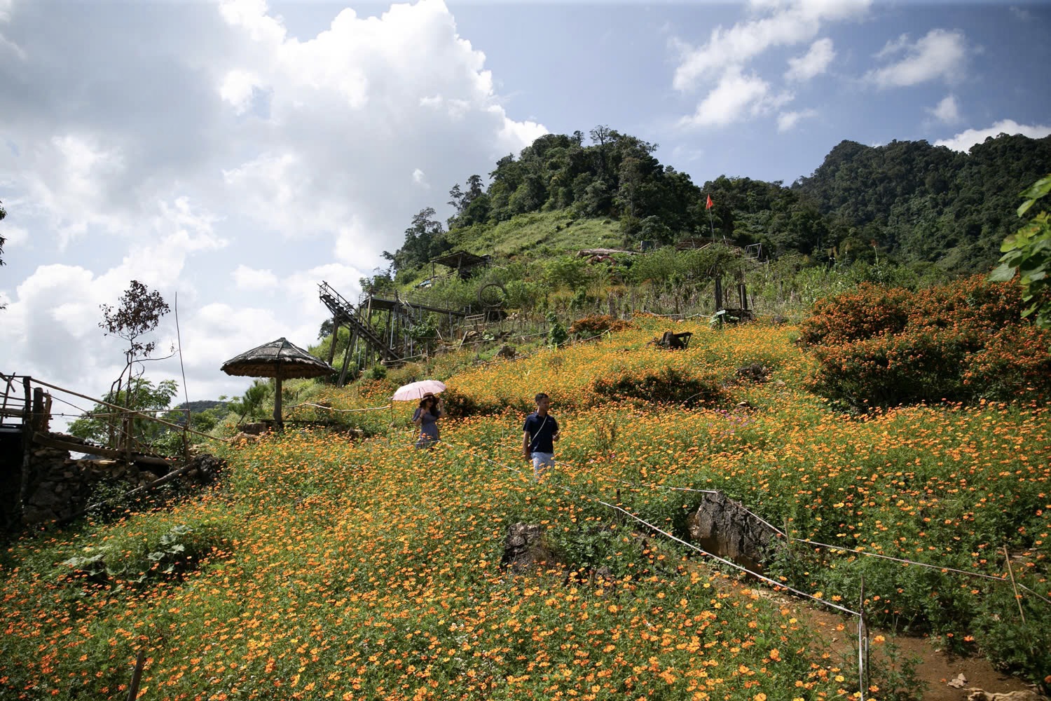 Những người con của núi và giấc mơ đưa Hang Kia - Pà Cò vươn xa- Ảnh 4.