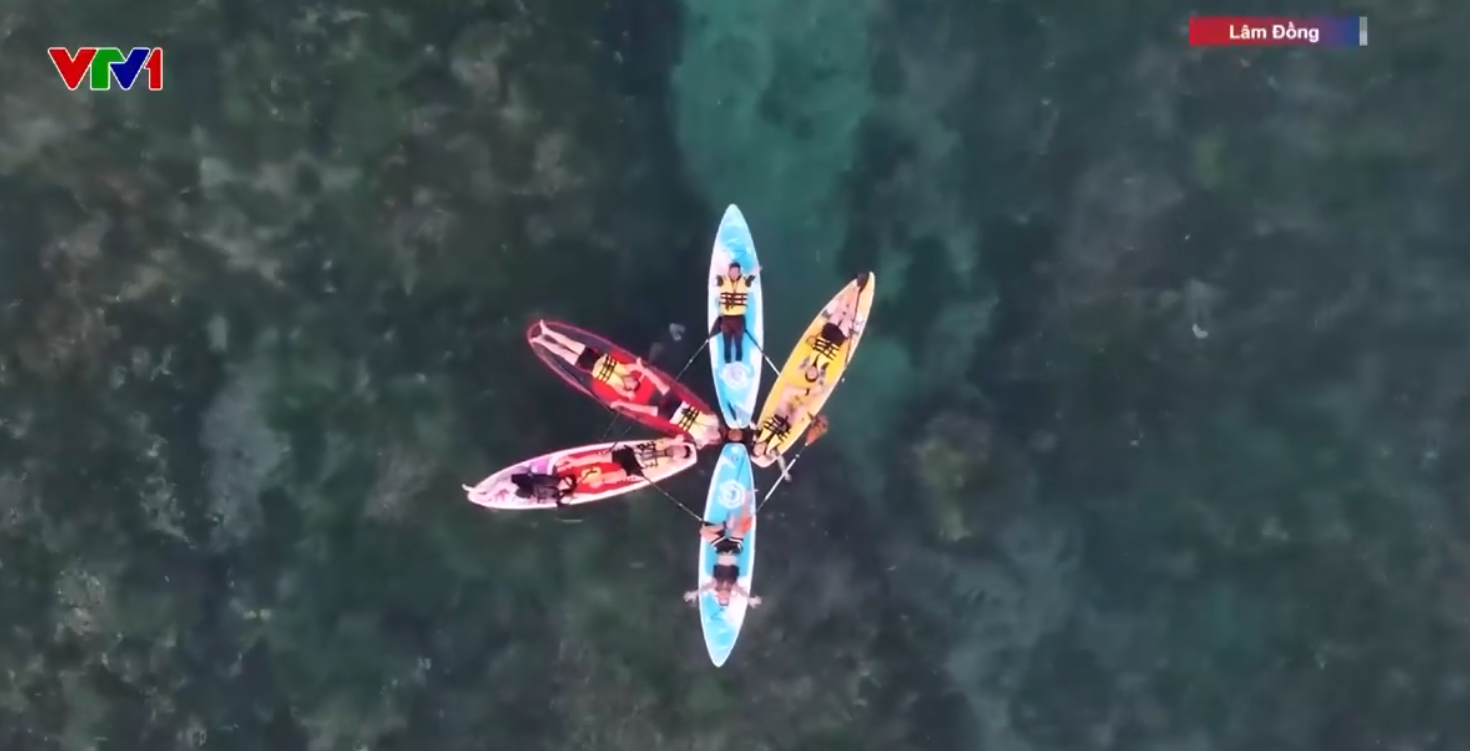 Du lịch xanh bảo vệ môi trường biển đảo - Ảnh 1.