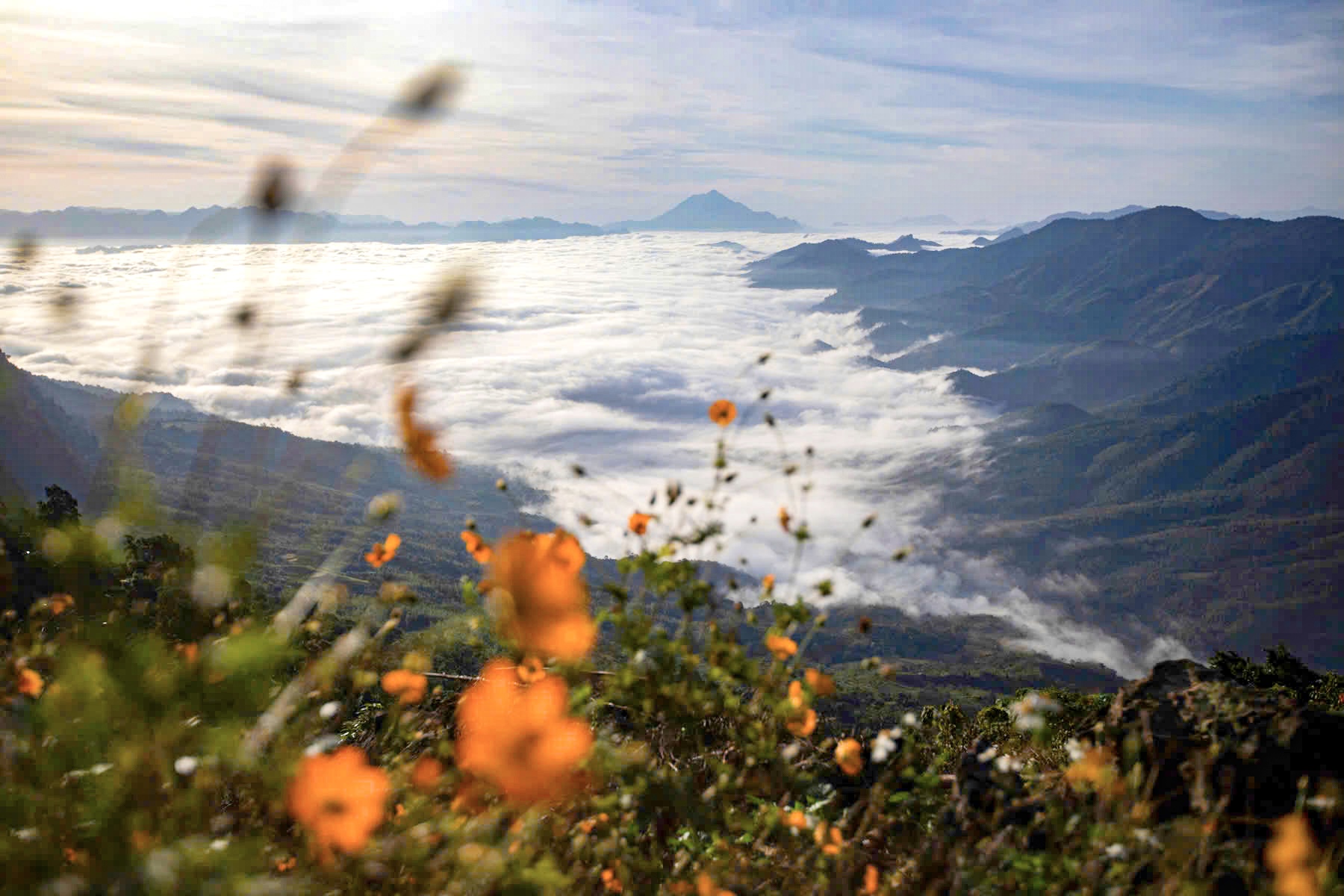 Những người con của núi và giấc mơ đưa Hang Kia - Pà Cò vươn xa- Ảnh 8.