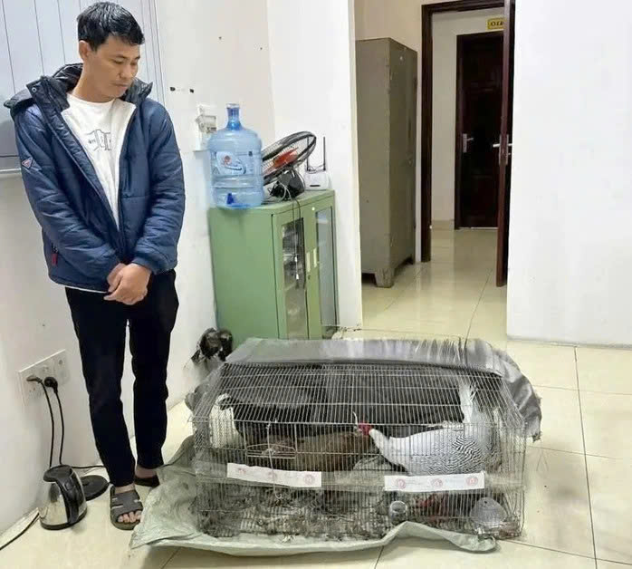 Diễn biến vụ án Thái Khắc Thành lĩnh 6 năm tù vì nuôi bán gà lôi trắng - Ảnh 1.