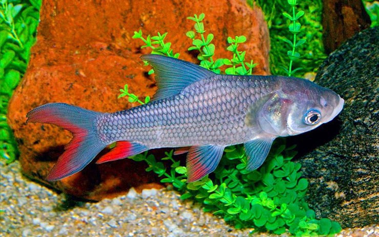 Ô nhiễm không khí: Sắp có ‘mắt thần’ trên trời soi tận công trình - Ảnh 10.