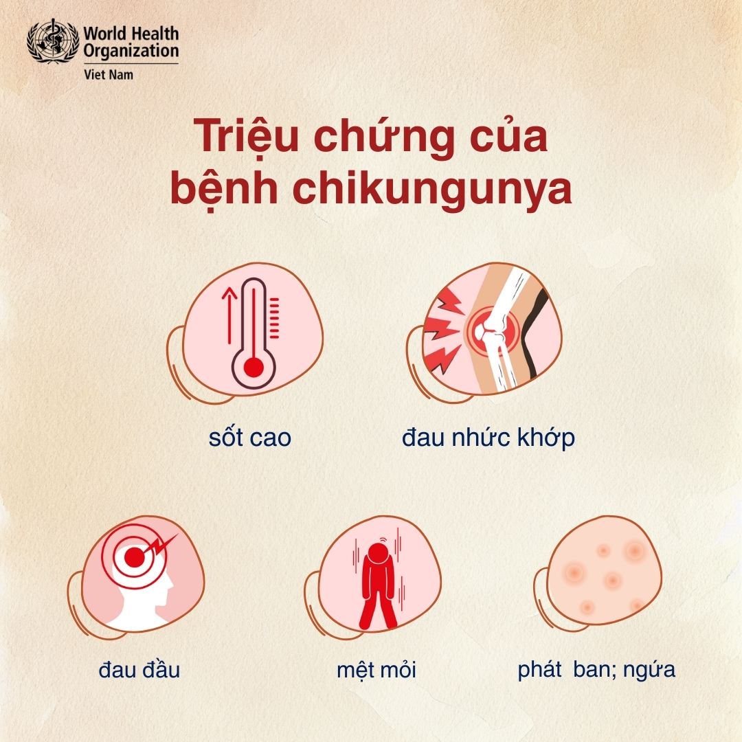 - Ảnh 3. - Ảnh 3.