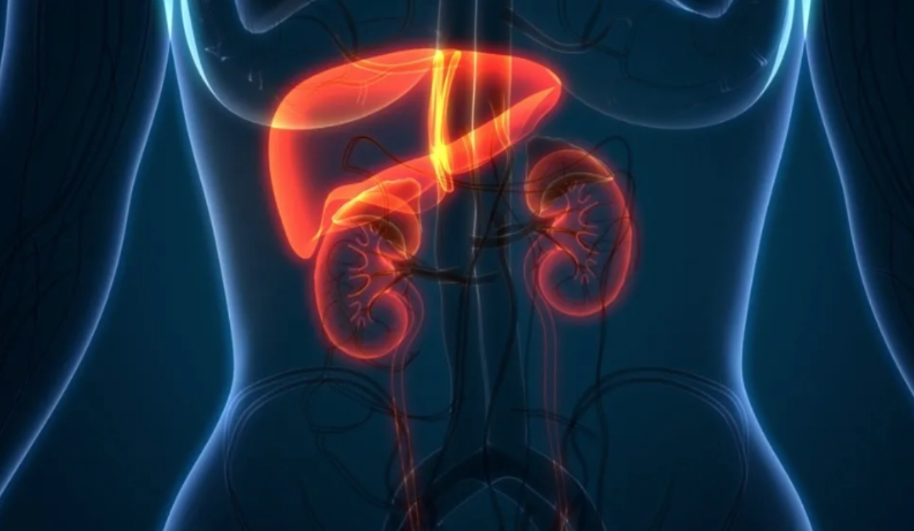 Mắc ung thư gan giai đoạn muộn, cựu chiến binh vượt qua ngoạn mục khiến bác sĩ ngỡ ngàng: Bí quyết là gì? - Ảnh 4.