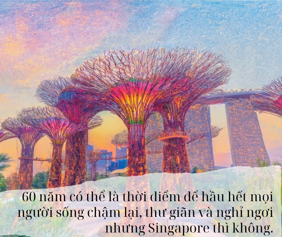 - Ảnh 7. - Ảnh 7.