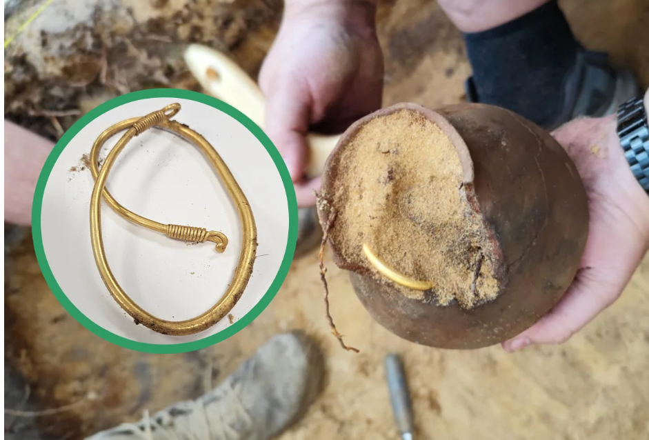 Kh&aacute;m ph&aacute; khu rừng, 5 tuần đ&agrave;o được 3 kho b&aacute;u - Ảnh 1.