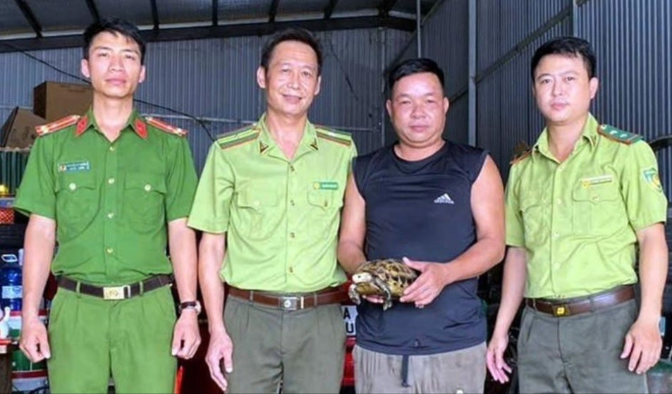 R&ugrave;a n&uacute;i v&agrave;ng 2kg b&ograve; v&agrave;o vườn nh&agrave; d&acirc;n - Ảnh 1.