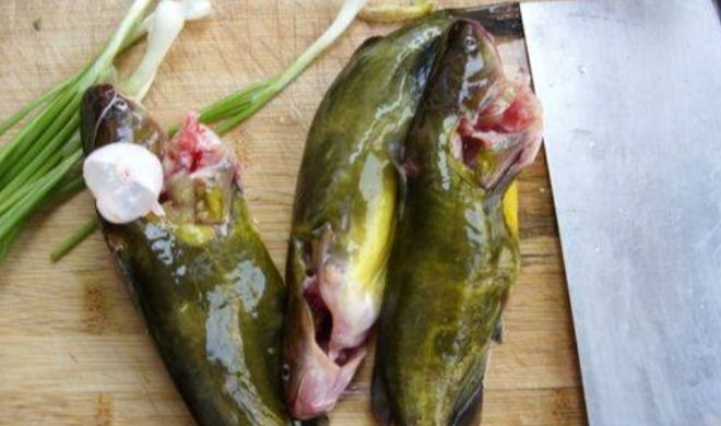 Đi chợ thấy 3 loại c&aacute; n&agrave;y th&igrave; N&Eacute; ngay, rẻ mấy cũng kh&ocirc;ng mua - loại số 3 nhiều b&agrave; nội trợ rất th&iacute;ch!- Ảnh 1.