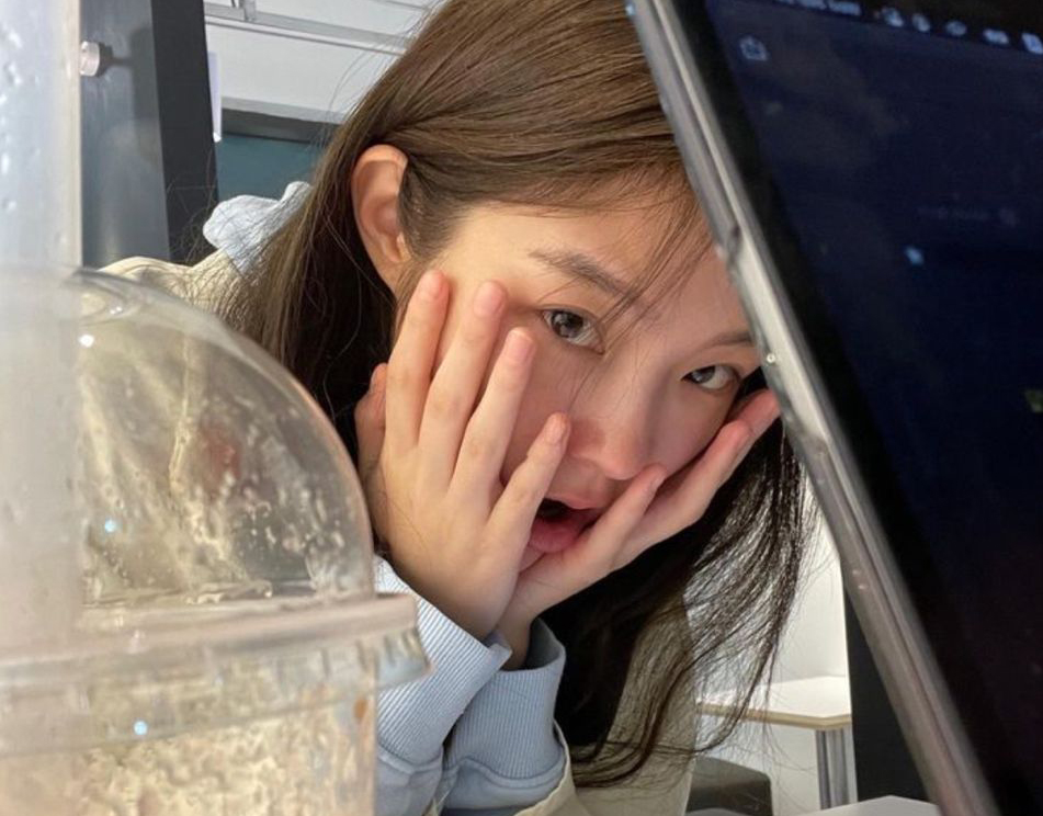 - Ảnh 1. - Ảnh 1.