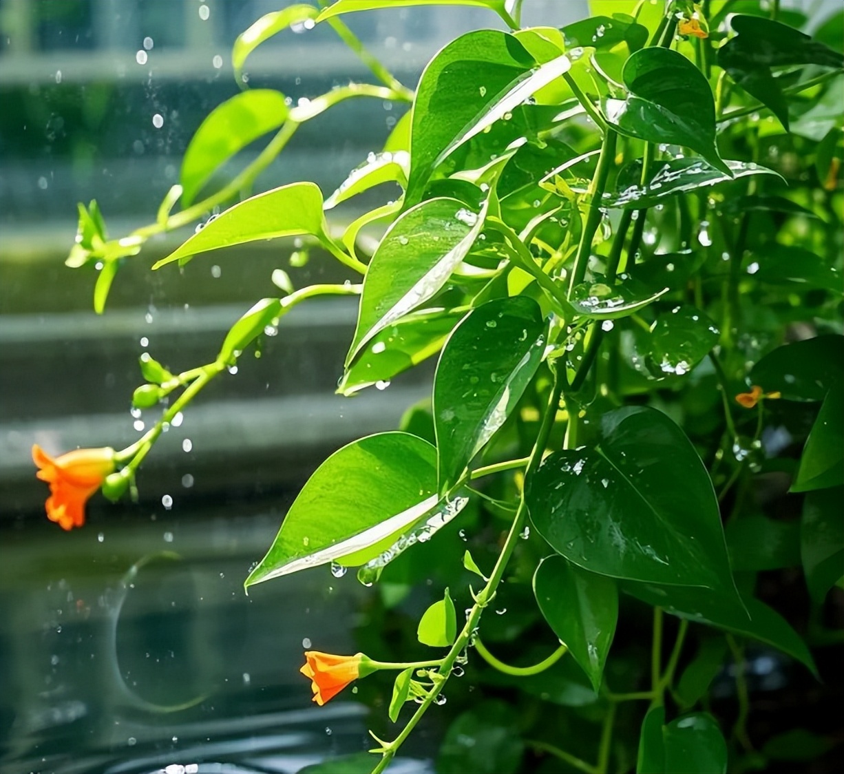 8 dấu hiệu cho thấy ngôi nhà của bạn có phúc khí và tài lộc - Ảnh 1. 8 dấu hiệu cho thấy ngôi nhà của bạn có phúc khí và tài lộc - Ảnh 1.