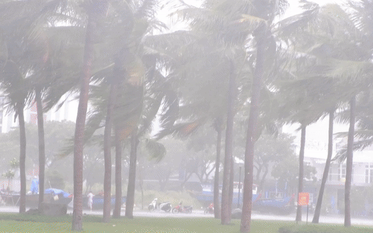 Bão số 5 gây "tổ hợp thiên tai", mưa lớn bao trùm từ Bắc Bộ đến TP. Hồ Chí Minh bắt đầu từ đêm nay