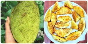 Cách Đơn Giản Phát Hiện Yến Sào Giả 3 Ipiccyimage 1 20474328 1755997373715 17559973741571690124382