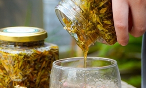 Thử Ngay Mẹo Nhỏ Với Cốc Nước Để Biết Mật Ong Xịn Hay Pha Đường 4 Mat Ong Ngam Hoa Du Du Duc 06592823 1755997475516 1755997476060696679024