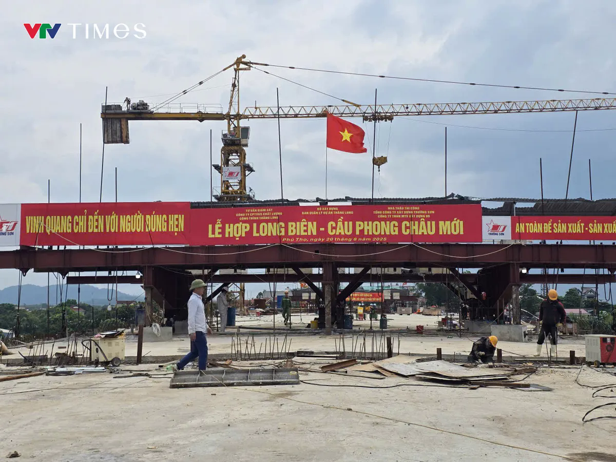 Phú Thọ: Cầu Phong Châu mới chuẩn bị hợp long sau gần 300 ngày thi công thần tốc - Ảnh 3. Phú Thọ: Cầu Phong Châu mới chuẩn bị hợp long sau gần 300 ngày thi công thần tốc - Ảnh 3.