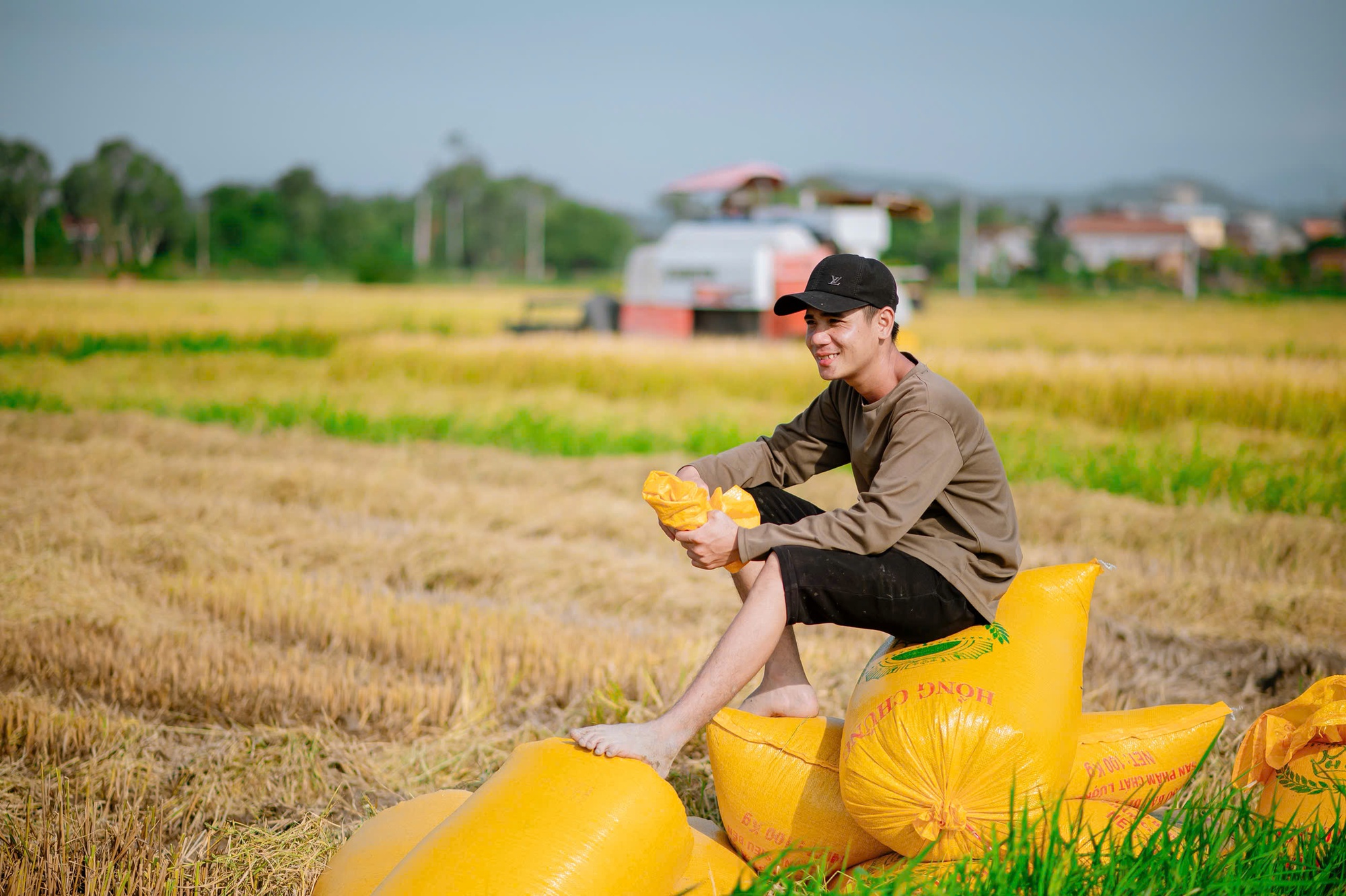 M&ugrave;a gặt "v&agrave;ng" ở miền đất v&otilde; - Ảnh 5.