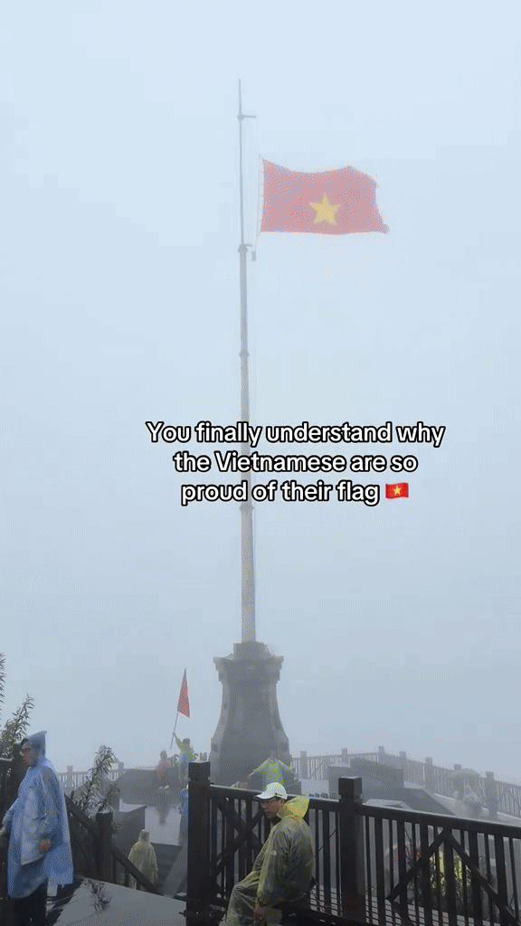 Khách Tây ngạc nhiên khi gặp cảnh tượng trên đường phố Việt Nam, nhận xét: "Tôi thấy nó ở mọi nơi!" - Ảnh 1.