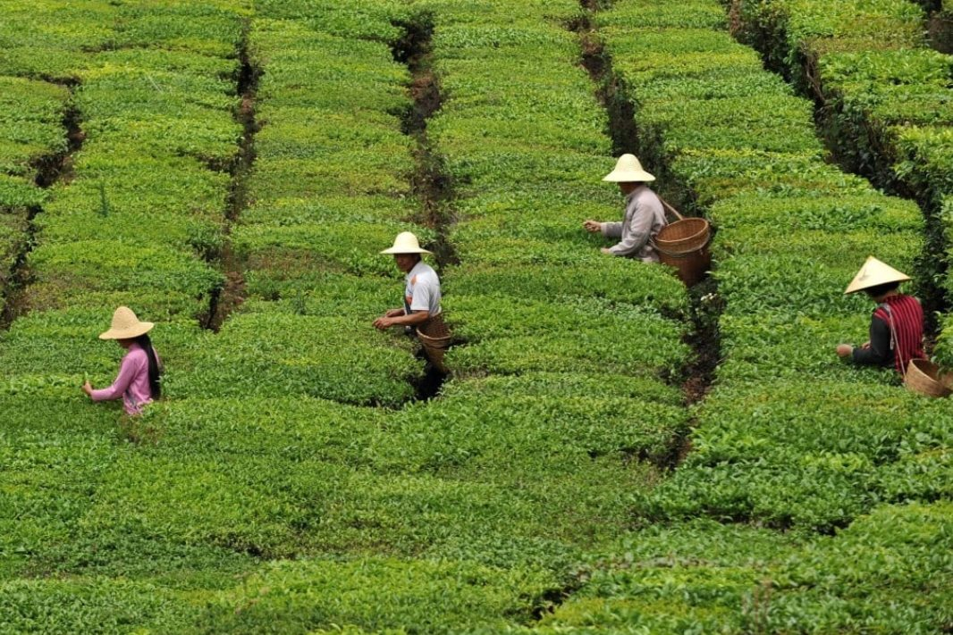 Từng s&aacute;nh ngang cổ phiếu,&nbsp;BĐS,&nbsp;loại &lsquo;t&agrave;i sản&rsquo;&nbsp;giới si&ecirc;u gi&agrave;u&nbsp;Trung Quốc&nbsp;săn l&ugrave;ng nay&nbsp;bốc hơi&nbsp;80% gi&aacute; trị,&nbsp;nh&agrave; đầu cơ &lsquo;bỏ của chạy lấy người&rsquo;: B&oacute;ng&nbsp;b&oacute;ng&nbsp;đ&atilde; vỡ?- Ảnh 1.
