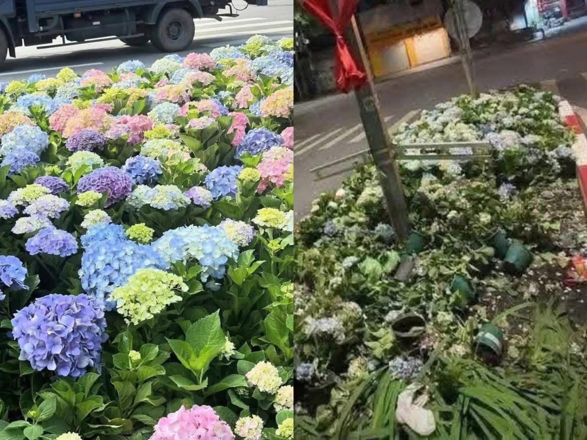 Người dân vượt rào bảo vệ, dẫm nát cây khi đi xem hợp luyện diễu binh: Công an Hà Nội khuyến cáo - Ảnh 3.