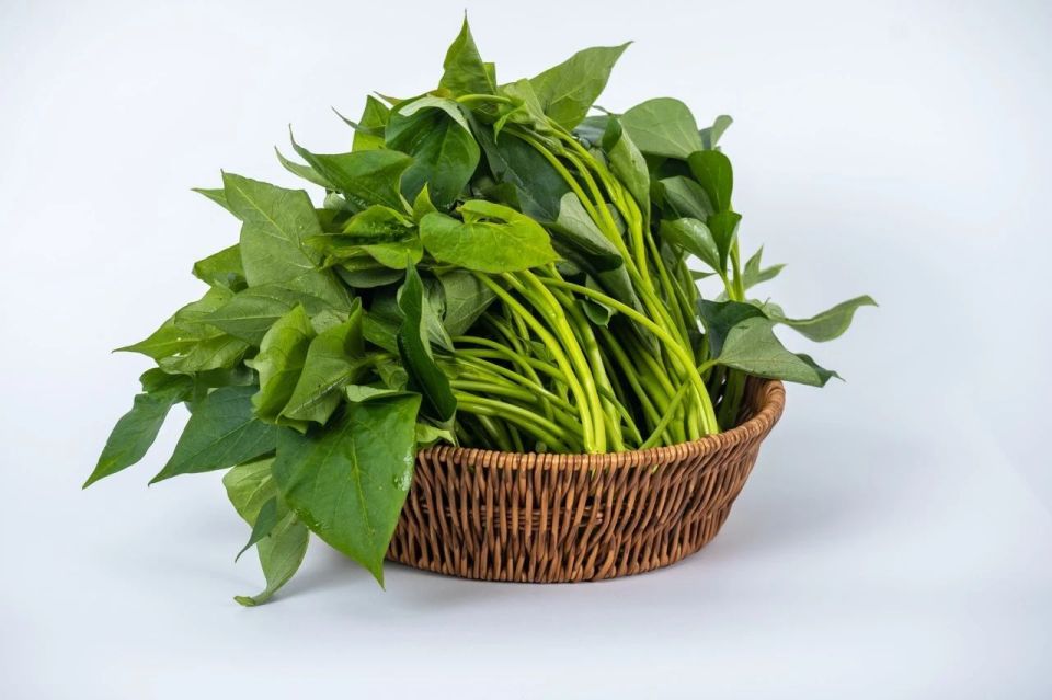 Loại rau bị nhiều người Việt chê nhưng sang Mỹ lại được "săn đón", giá lên tới tiền triệu bởi công dụng ức chế tế bào ung thư - Ảnh 2.