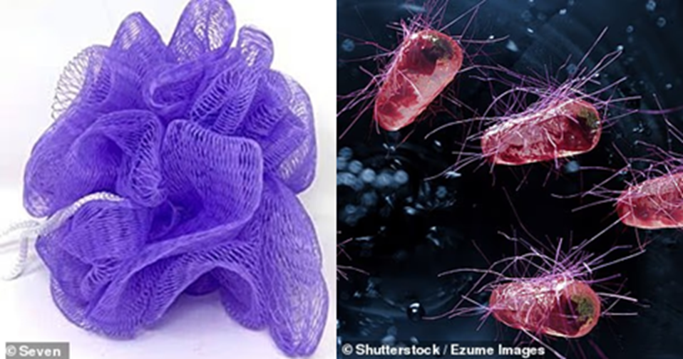 - Ảnh 1. - Ảnh 1.