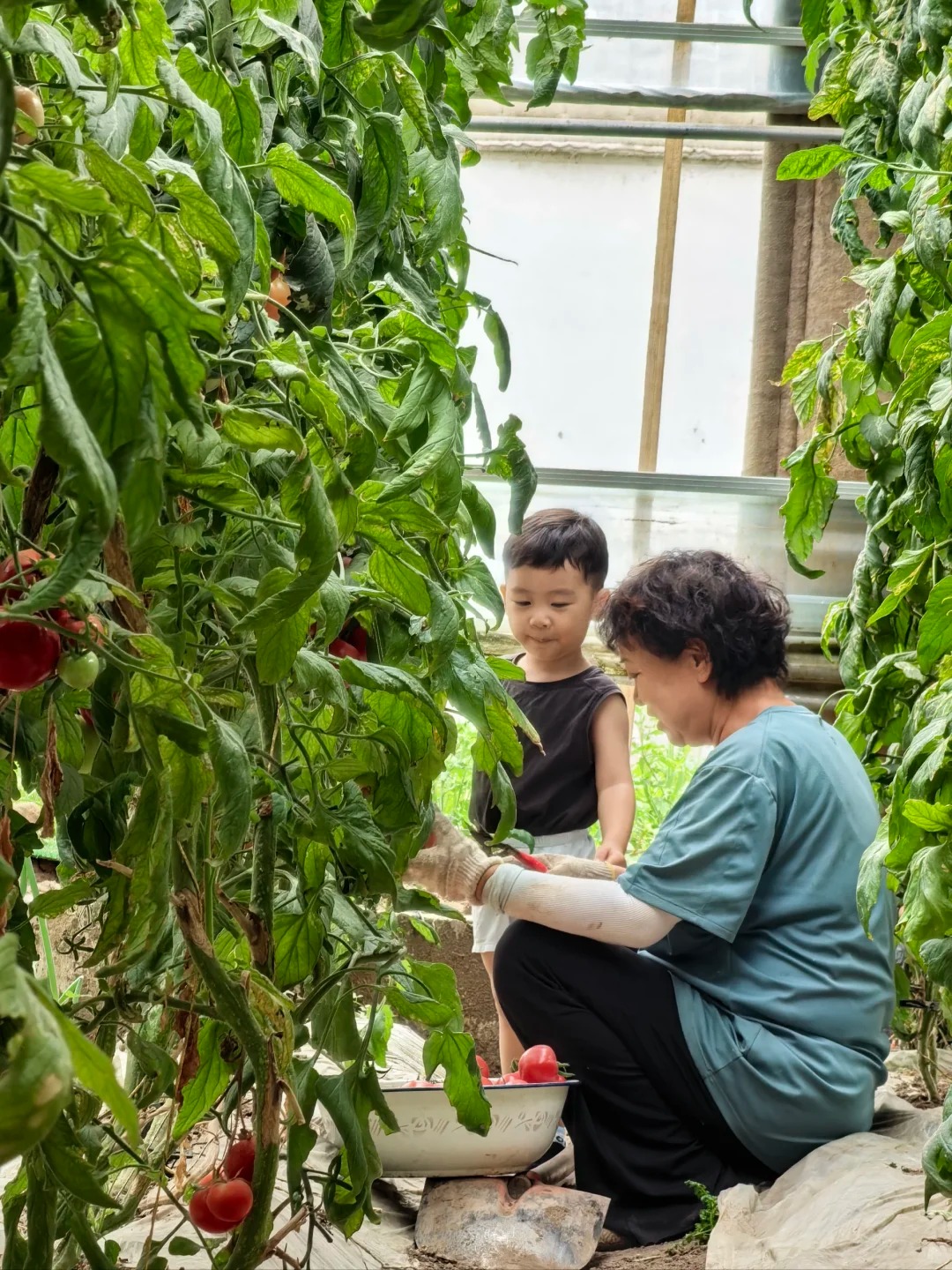 Ông bà có 3 điểm này con cháu vừa sinh ra đã đứng sẵn ở "vạch đích" - Ảnh 3.