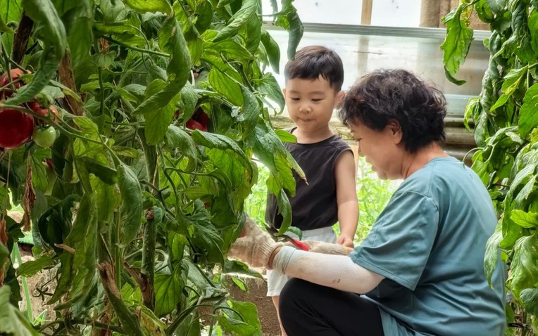 Ông bà có 3 điểm này con cháu vừa sinh ra đã đứng sẵn ở "vạch đích" - Ảnh 1.