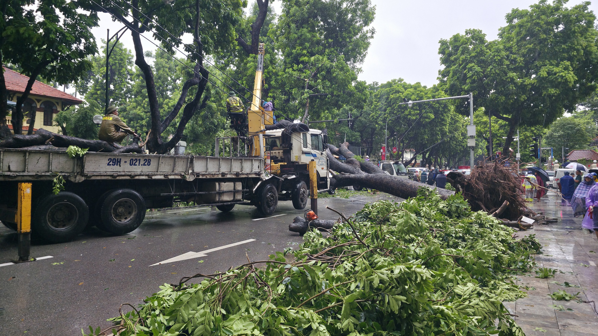 Cây lớn bật gốc đè ô tô giữa phố Hà Nội: Kinh hoàng 30 giây của Chủ xe - Ảnh 4.