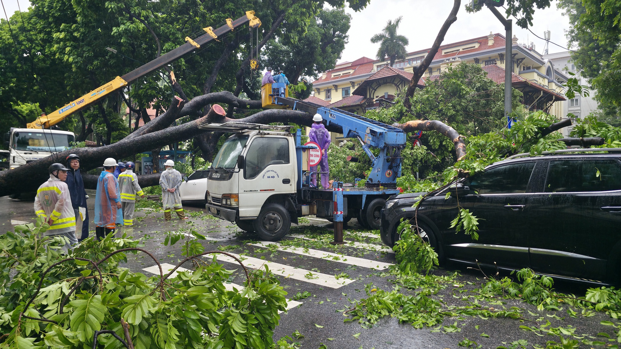 Cây lớn bật gốc đè ô tô giữa phố Hà Nội: Kinh hoàng 30 giây của Chủ xe - Ảnh 5.
