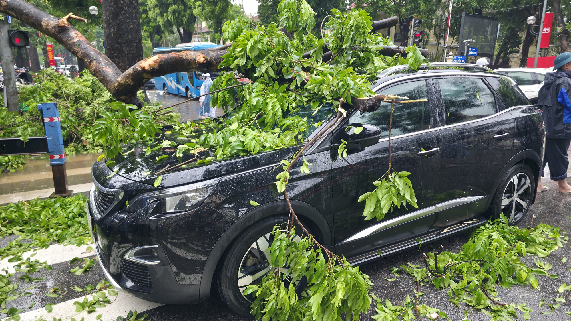 Cây lớn bật gốc đè ô tô giữa phố Hà Nội: Kinh hoàng 30 giây của Chủ xe - Ảnh 3.